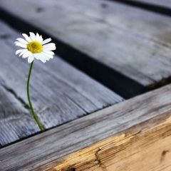 Мария Экелова, 21.09, Санкт-Петербург