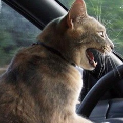 Женя Лукин, 07.08, Самара