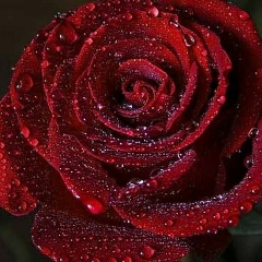 Юлия Петрова, 22.08, Москва