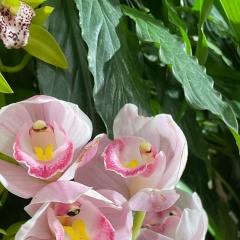 Евгения М, 29.03, Санкт-Петербург