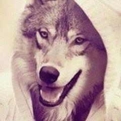 Аслан Амагов, 24.05.2001