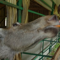 Дмитрий Ершов, Ярославль