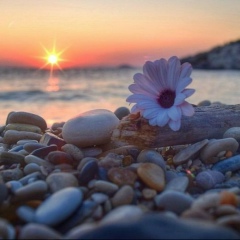 Анна Ясенева, 15.03, Алушта