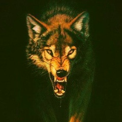 Максим Песков, 22.08, Рязань