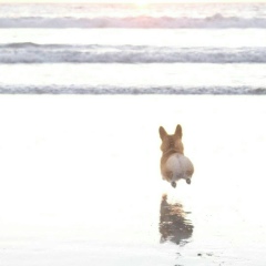 Полина Малина, Москва