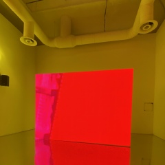 Полина Зинзивер, 28.12, Санкт-Петербург