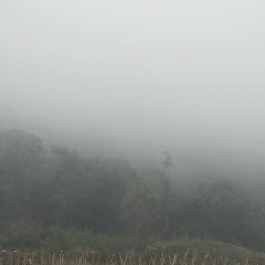 Zaw-Min-Htike Kpu, 30.01.1982, Yangon