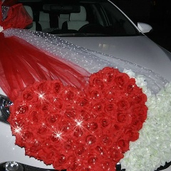 Марина Савич, 05.01.1985, Москва