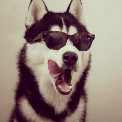 Alisher Urazbaev, 27.03, Алматы