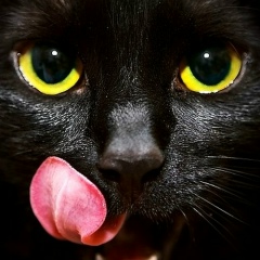 Илья Яя, 31.05, Казань