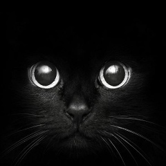 Юлия Бовдур, 23.03, Санкт-Петербург