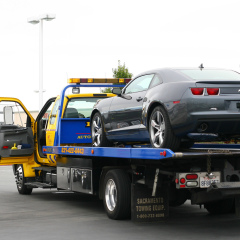 Сережа Романов, 13.02