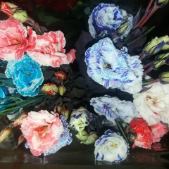 Бота Рахметова, 05.01.1988, Алматы