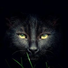 Владимир Мартынов, Москва