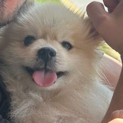 Кирилл Киселев, 12.06, Санкт-Петербург