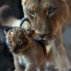 Виктория Братчук