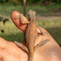 Алия Бадьина, 11.04.1983, Санкт-Петербург