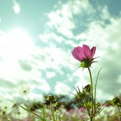 Оксана Мороз, 05.06.1983, Киев