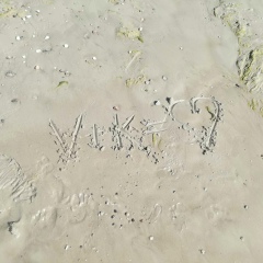 Катя Латановская, 28.12, Москва