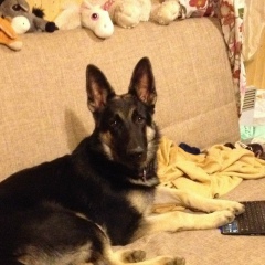 Елена Грановская(Кавалерова), Санкт-Петербург