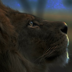 Эмиль Мирзалиев, Санкт-Петербург