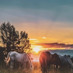 Гулсайра Бекболат, 08.12.1997