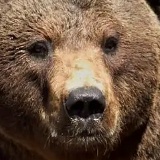 Ринат Багаутдинов, 29.03.1989, Челябинск