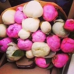 Дина Литостанская, 20.11, Miami