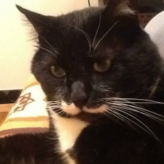 Лидия Сиголаева, 10.04.1940