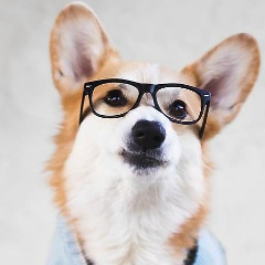 Никита Попов, 24.07, Ростов-на-Дону