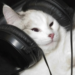 Daniel Sagynbaev, 11.02.2000, Бишкек