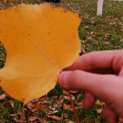 Гульзада Егембердиева, 17.06.1986, Шымкент