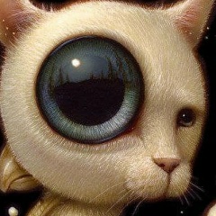 Артем Семенов, Санкт-Петербург