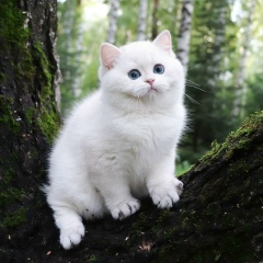 Андрей Сузанский, 19.04, Санкт-Петербург