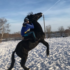 Бакдаулет Алипбаев, 24.08, Таукент