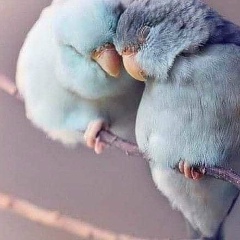 Алия Сагатбекова, 11.06, Алматы