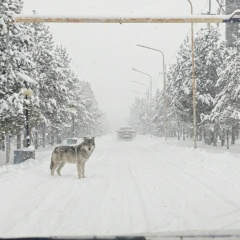 Ерлан Нарден, 28.03.1991, Алматы