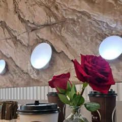 Би Би, Шымкент