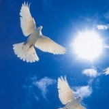 Екатерина Агеенко, 21.04