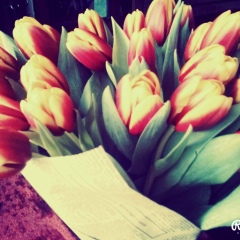 Feruza Ahmedova, 09.08.1995