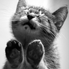 Рысгуль Нурмагамбетова, 13.02, Астана