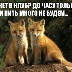 Руслан Луценко, 13.07.1982, Киев