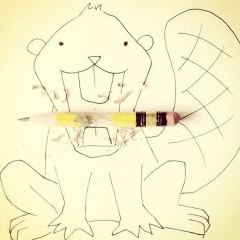 Бобр Бобрович, 27.03.1999, Петрозаводск