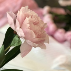 Карина Гусейнова, 01.07, Махачкала