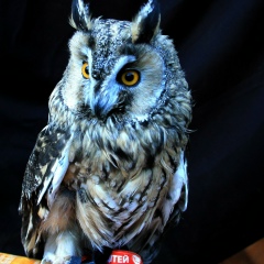 Алексей Александров, 12.09.1973, Киев