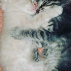 Назира Абдиева, 21.11.1998, Бейнеу