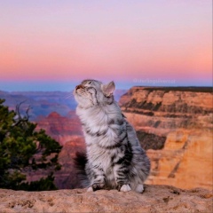 Ерасыл Ниеталы, 19.09.1998, San Francisco