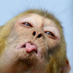 Эрлан Жанышбекович, 24.05.1994, Москва