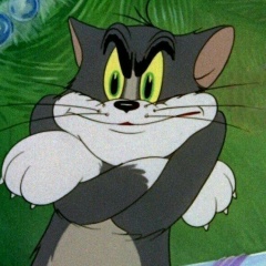 Игорь Тараненко, Волгоград