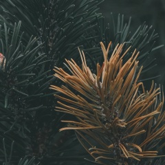 Константин Чичаев, 27.04, Москва